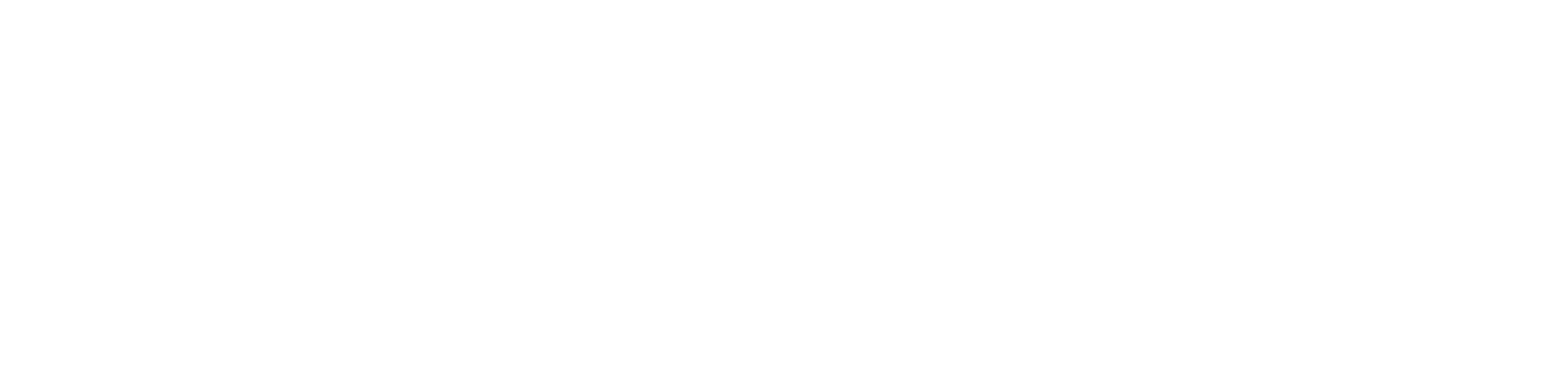 The Collection Watches